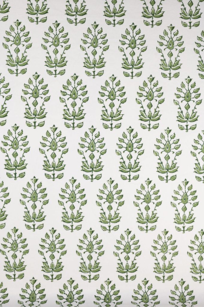 Fulton Fern